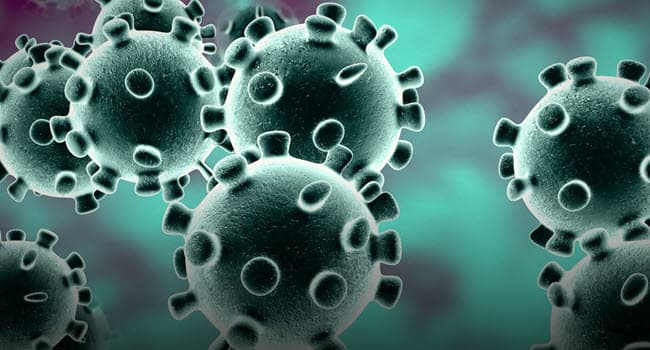 650x350_coronavirus.jpg