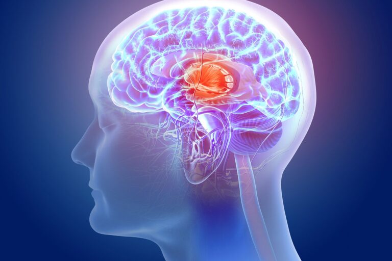 1800x1200_medical_illustration_brain_vessel_head_01_other.jpg