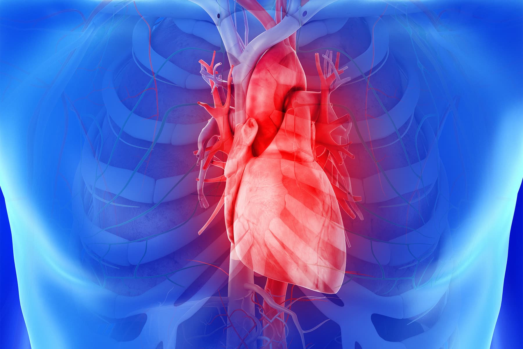 1800x1200_10_ways_to_protect_your_heart_slideshow.jpg