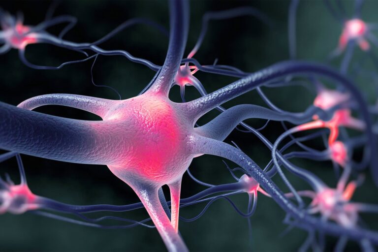 1800x1200_active_nerve_cells_firing_other.jpg
