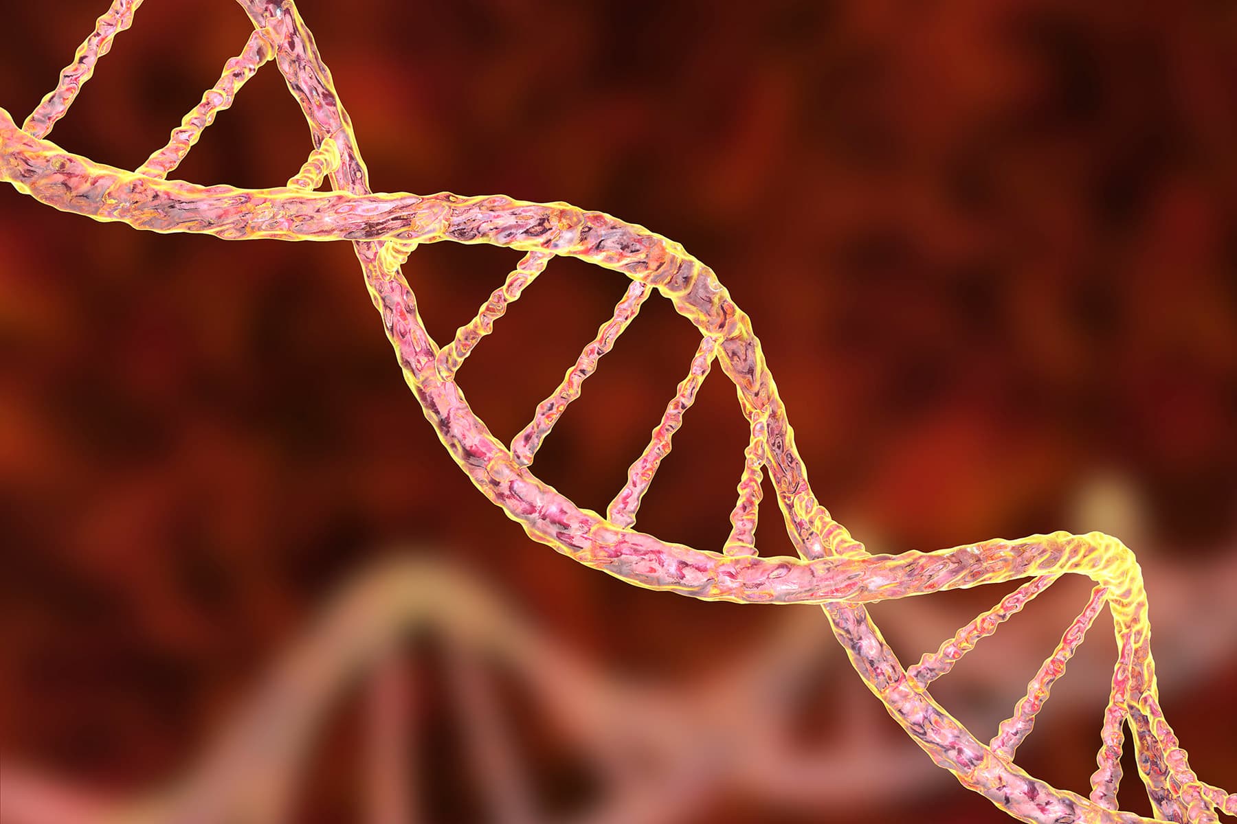 1800x1200_dna_structure_other.jpg
