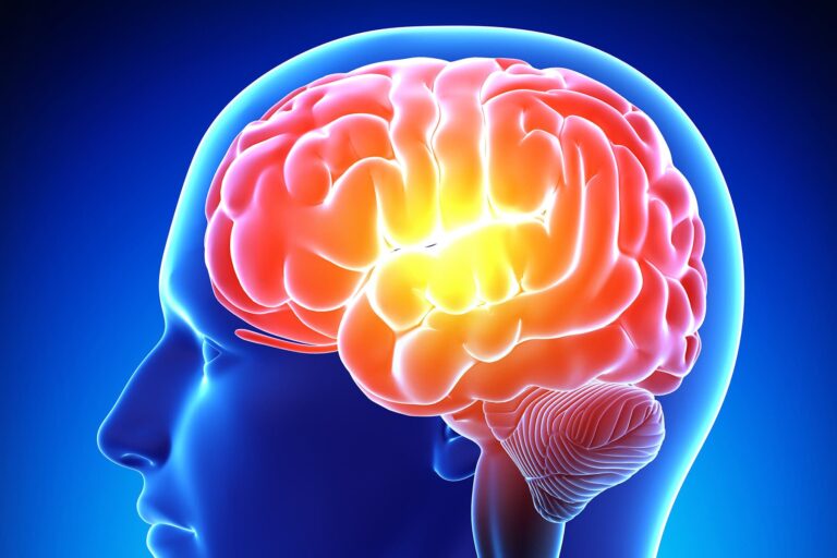 1800x1200_medical_illustration_blue_brain_pain_01_other.jpg
