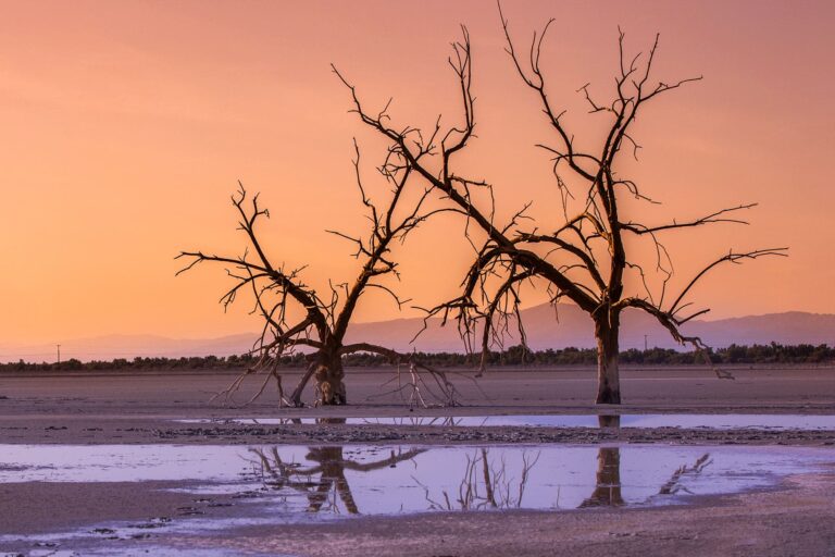 1800x1200_scarred_lungs_landscapes_whats_left_when_lakes_vanish_eia.jpg