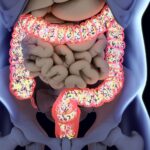 1800ss_getty_rf_gut_bacteria_anatomy.jpg