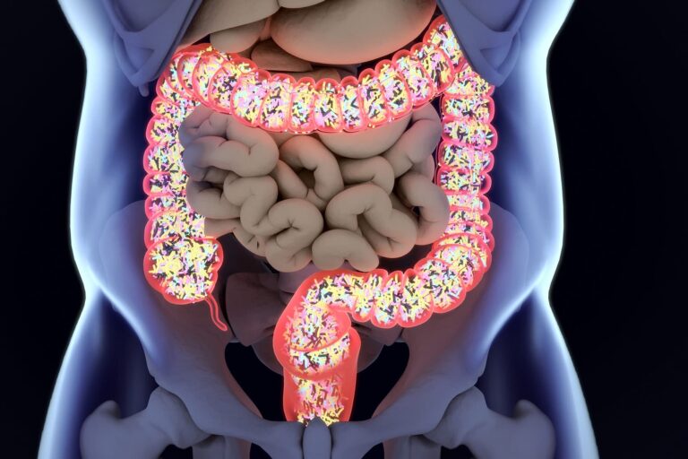 1800ss_getty_rf_gut_bacteria_anatomy.jpg